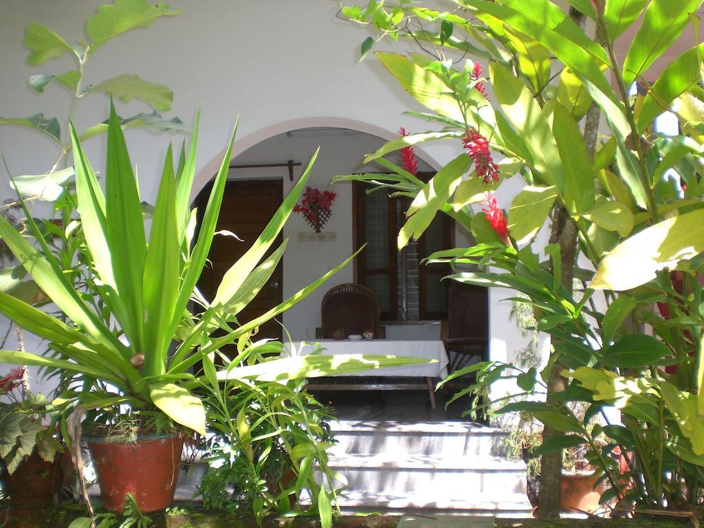 Hotel Jickys Nest Varkala Habitación foto