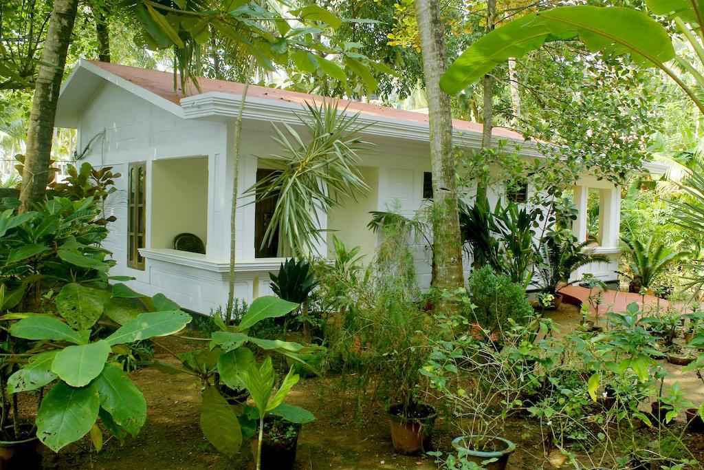 Hotel Jickys Nest Varkala Habitación foto